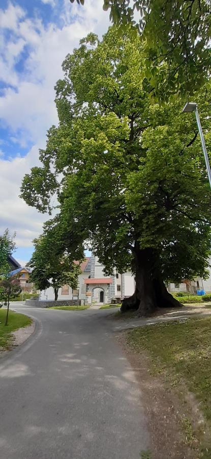 Križe Apartmaji Mojca المظهر الخارجي الصورة