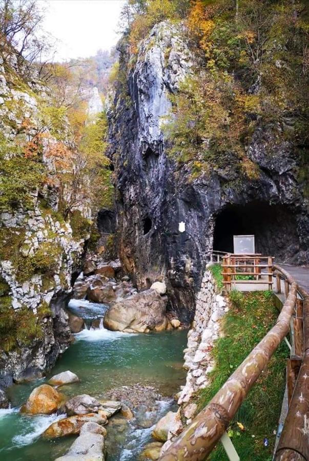 Križe Apartmaji Mojca المظهر الخارجي الصورة
